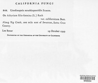 Image Associated With the Occurence